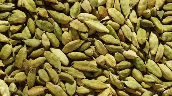 تصویر 5 از قیمت هل سبز عمده + فروش ویژه